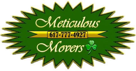 Meticulous Movers